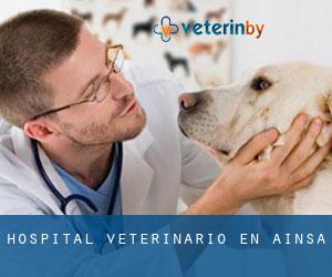 Hospital veterinario en Aínsa
