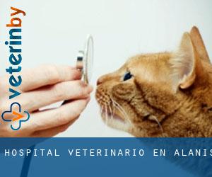 Hospital veterinario en Alanís