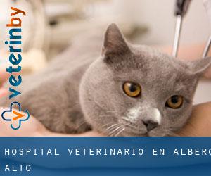 Hospital veterinario en Albero Alto