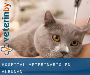 Hospital veterinario en Albuñán