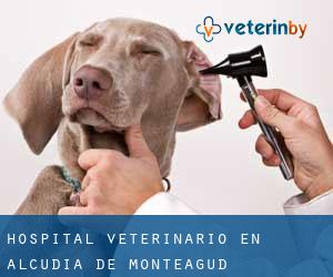 Hospital veterinario en Alcudia de Monteagud
