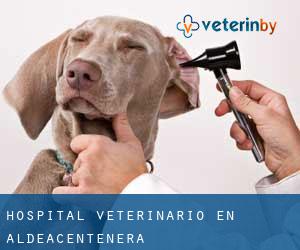 Hospital veterinario en Aldeacentenera