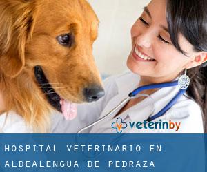 Hospital veterinario en Aldealengua de Pedraza