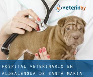Hospital veterinario en Aldealengua de Santa María