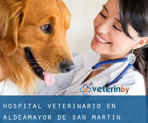 Hospital veterinario en Aldeamayor de San Martín