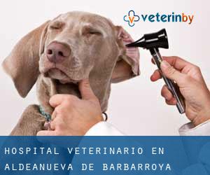 Hospital veterinario en Aldeanueva de Barbarroya