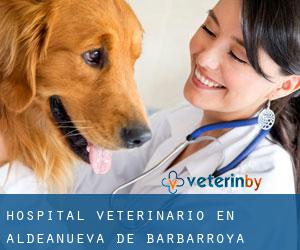Hospital veterinario en Aldeanueva de Barbarroya