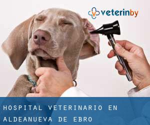 Hospital veterinario en Aldeanueva de Ebro