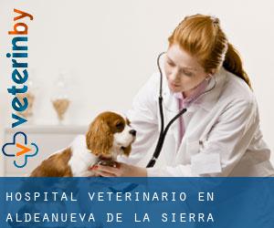 Hospital veterinario en Aldeanueva de la Sierra