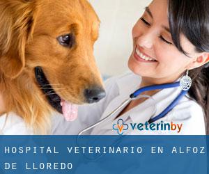 Hospital veterinario en Alfoz de Lloredo