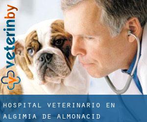 Hospital veterinario en Algimia de Almonacid