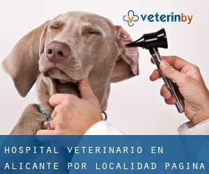 Hospital veterinario en Alicante por localidad - página 2