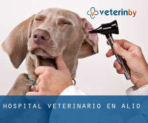 Hospital veterinario en Alió