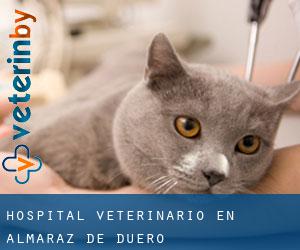 Hospital veterinario en Almaraz de Duero