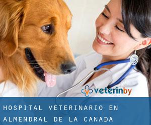 Hospital veterinario en Almendral de la Cañada