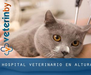Hospital veterinario en Altura