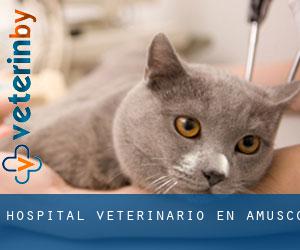 Hospital veterinario en Amusco