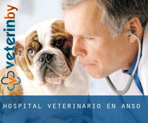 Hospital veterinario en Ansó