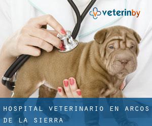 Hospital veterinario en Arcos de la Sierra
