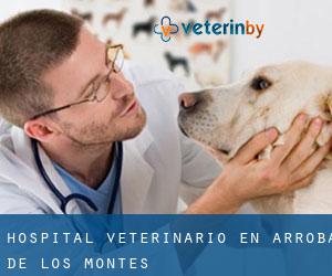 Hospital veterinario en Arroba de los Montes