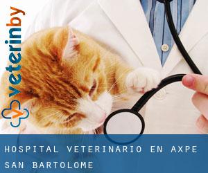 Hospital veterinario en Axpe-San Bartolome