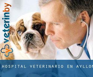 Hospital veterinario en Ayllón