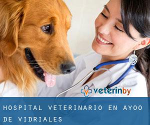 Hospital veterinario en Ayoó de Vidriales