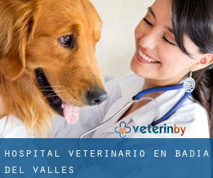 Hospital veterinario en Badia del Vallès