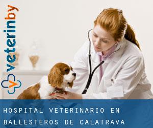 Hospital veterinario en Ballesteros de Calatrava