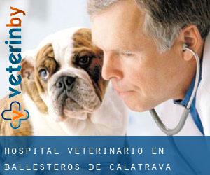 Hospital veterinario en Ballesteros de Calatrava
