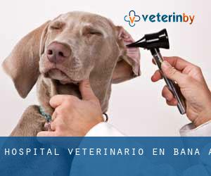 Hospital veterinario en Baña (A) Hospital veterinario en Baña (A)