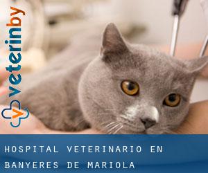 Hospital veterinario en Banyeres de Mariola