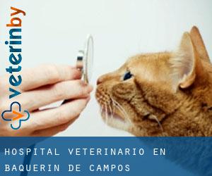 Hospital veterinario en Baquerín de Campos