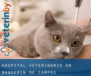 Hospital veterinario en Baquerín de Campos