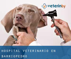 Hospital veterinario en Barriopedro