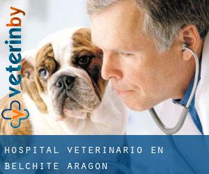 Hospital veterinario en Belchite (Aragón)