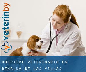 Hospital veterinario en Benalúa de las Villas Hospital veterinario en Benalúa de las Villas
