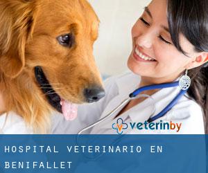 Hospital veterinario en Benifallet