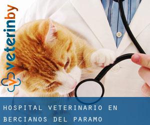 Hospital veterinario en Bercianos del Páramo Hospital veterinario en Bercianos del Páramo