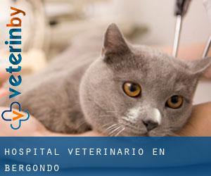 Hospital veterinario en Bergondo