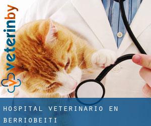 Hospital veterinario en Berriobeiti