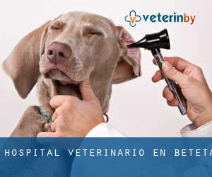 Hospital veterinario en Beteta