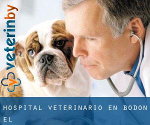 Hospital veterinario en Bodón (El)