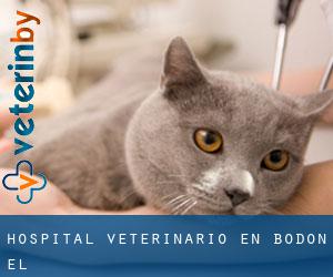Hospital veterinario en Bodón (El)