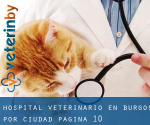 Hospital veterinario en Burgos por ciudad - página 10