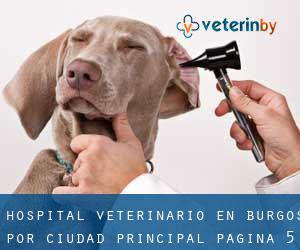 Hospital veterinario en Burgos por ciudad principal - página 5