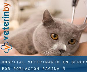 Hospital veterinario en Burgos por población - página 4