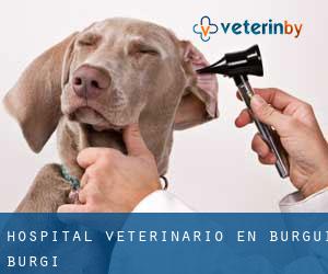 Hospital veterinario en Burgui / Burgi