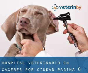 Hospital veterinario en Cáceres por ciudad - página 6