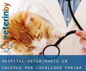 Hospital veterinario en Cáceres por localidad - página 1